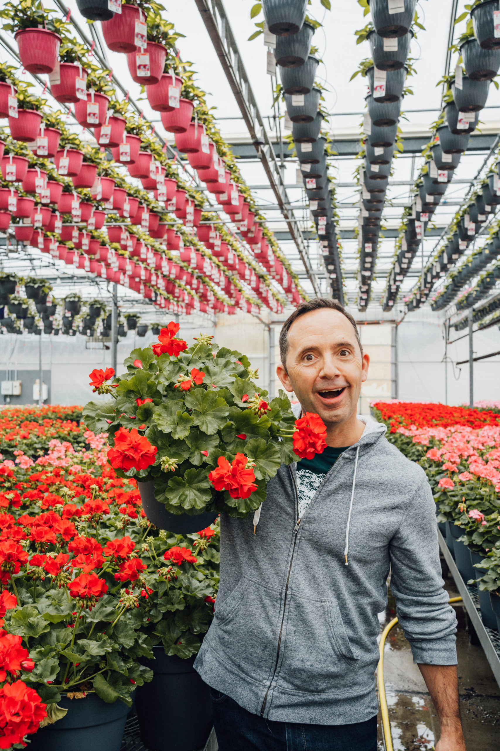 Garden Centre Shopping Tips with Frankie Flowers
