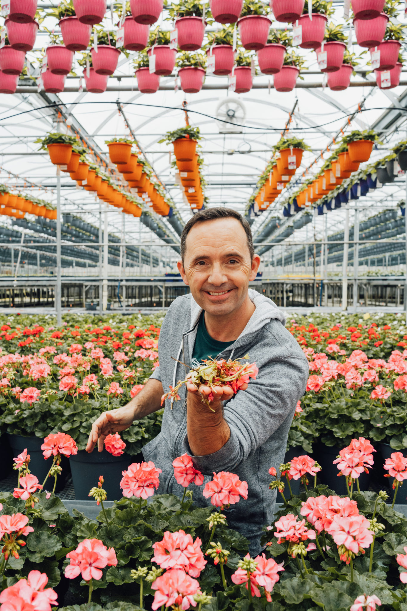 Frankie flowers outdoor christmas arrangement